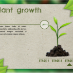 Nature-Style Articulate Storyline Template