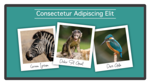 Stock Photos in eLearning